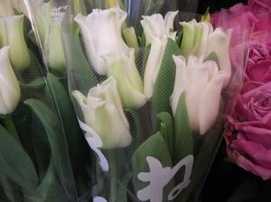 【春の花といえば？】一店員の個人的な趣味と愛|「花のモナミ」　（埼玉県上尾市の花屋）のブログ