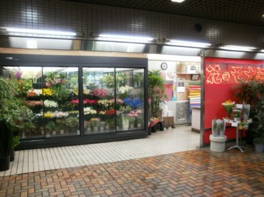 「花のモナミ」　（埼玉県上尾市）の花屋店舗写真1