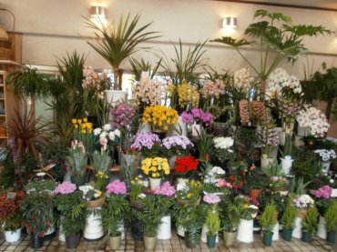 埼玉県上尾市の花屋 花のモナミにフラワーギフトはお任せください 当店は 安心と信頼の花キューピット加盟店です 花キューピットタウン